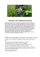 Samstag, 26. September, 10h, Kräuterwanderung in der Mühlenriede